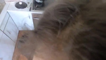 Kívánnivaló barnahajú tini lányka levedlette a harisnyanadrágját és megugrálta a férje faszát Thumb